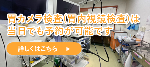 当日予約が可能な胃カメラ検査(胃内視鏡検査)
